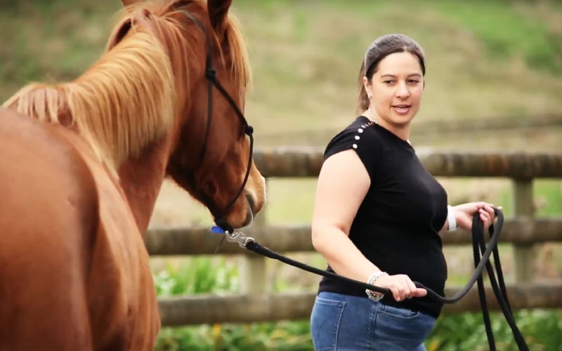 Learning to lead a horse at impact leadership 